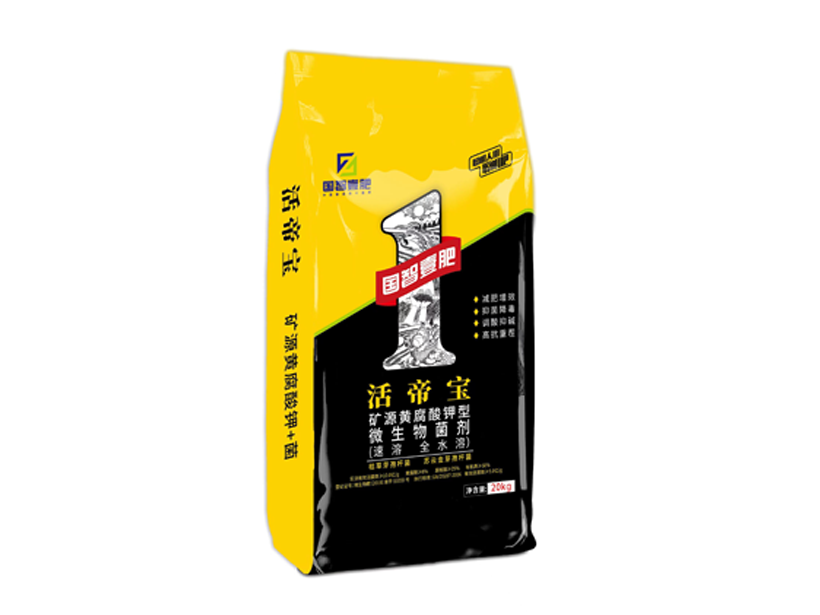 活帝宝.png